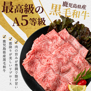 黒毛和牛 A5等級 鹿児島県産 黒毛和牛 霜降り リブロース スライス 400g IB112-011