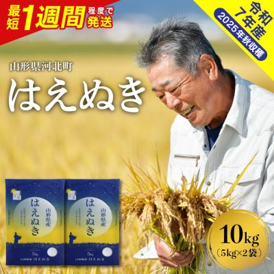 ふるさと納税 河北町 【令和7年産米】最短1週間程度発送 はえぬき10kg 山形県産 【米COMEかほく】