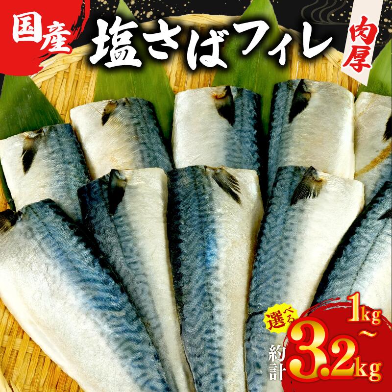 【ふるさと納税】 塩サバ フィレ 国産 【選べる内容量】 約1～3.2kg 小分け 個包装 鯖 切り身 半身 肉厚 魚介 海鮮 冷凍 さば サバ フィーレ 天然 ジューシー ご家庭用 贈答品 高級 人気 おかず おつまみ 静岡県 沼津市
