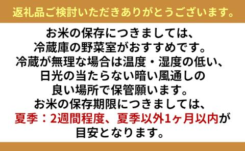 無洗米 北海道赤平産 ゆめぴりか 5kg 特別栽培米 【12回お届け】 米 北海道 定期便 ふるさと納税 お米