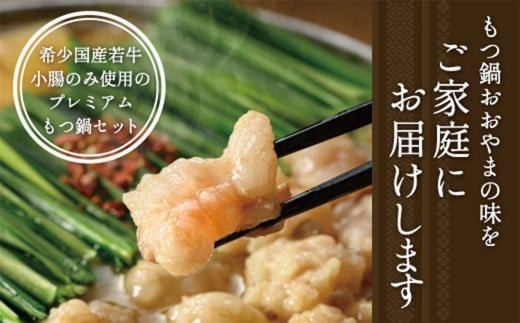 福岡 もつ 専門店売上高1位【6ヶ月定期便】博多もつ鍋おおやま もつ鍋 みそ味 2人前 国産 冷凍