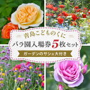 【ふるさと納税】青島 こどものくに バラ園 入場券 5枚 セット ガーデンのサシェ大付き バラ 花畑 バラの花 花園 入場券 券 入場チケット チケット 観光 旅行 家族旅行 観光旅行 南国旅 自然 花 フラワー 観賞 ご当地 南国観光 観光チケット 宮崎県 宮崎市 送料無料