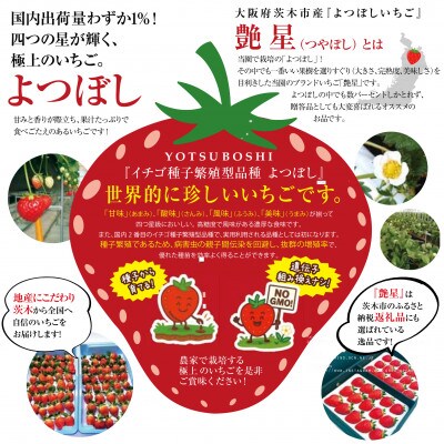 艶星(イチゴ)約350g〜約400g「甘味、酸味、風味、旨味」四つ星級に美味!採れたてをお届けします【配送不可地域：離島】【1651679】
