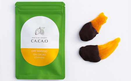 ORANGE ＆ PISTACHIO A set ／ チョコ カカオ豆 無添加 きび糖 大人チョコ 甘さ控えめ 香り豊か 柑橘チョコ オレンジピール ピスタチオ ドライマンゴー オランジェット シトロ