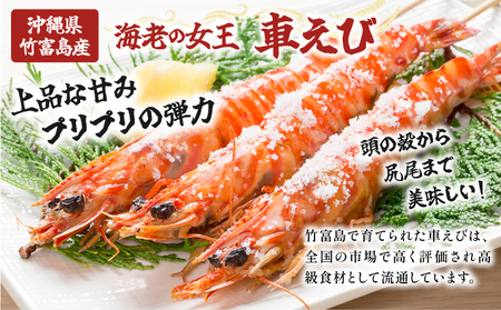 竹富島産 活車えび 1kg