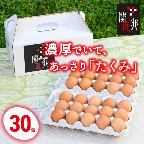 関匠卵 たくみ30個 ※北海道・沖縄・離島への配送不可 | 卵 30個 赤玉 玉子 たまご タマゴ 生卵 鶏卵 生みたて 産みたて 新鮮 濃厚 健康 TKG たまごかけごはん ご飯のお供 国産 ギフト 贈答 贈り物 お中元 お歳暮 プレゼント 茨城県 古河市 直送 農家直送 産地直送 送料無料 _CP02