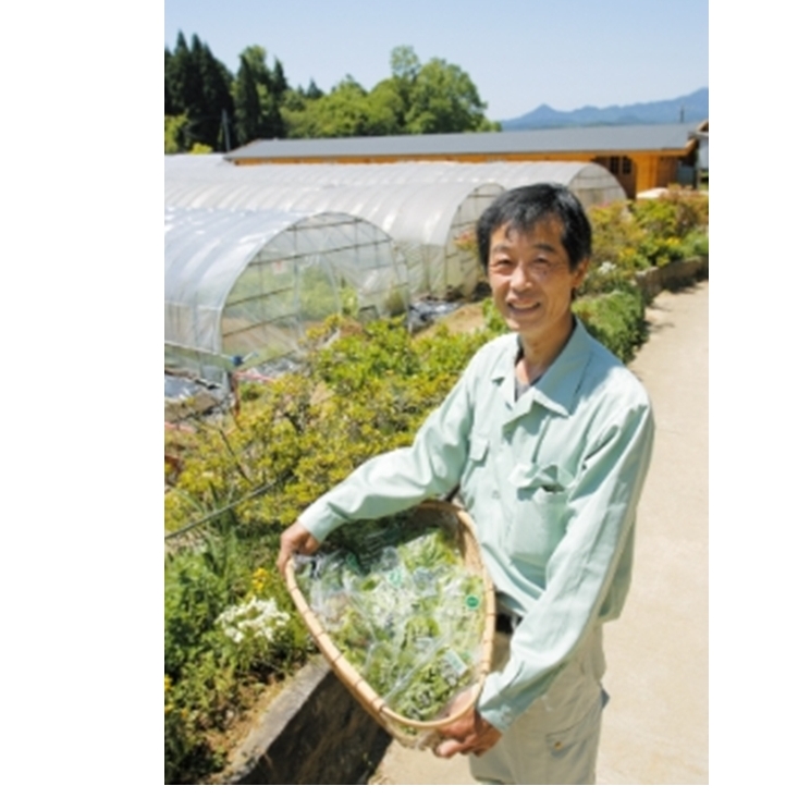 定期便12回 入浴剤 8種類×各5個 ウェルネスフーズ UDA ふるさと納税 無添加 有機栽培 おすすめ リラックス ストレス 肌荒れ改善 疲労回復 送料無料 ゆず 生姜 よもぎ ミント 大和当帰_イ