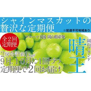 ぶどう 2026年 先行予約 9月・10月発送 シャイン マスカット 晴王 2房（合計約1kg）×2回 ブドウ 葡萄  岡山県産 国産 フルーツ 果物 ギフト
