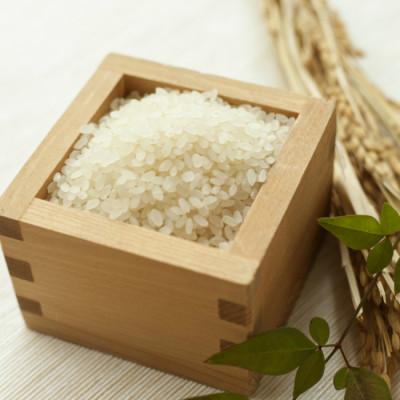 ふるさと納税 酒田市 はえぬき　5kg　精米 |  | 01