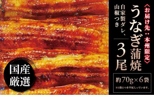 国産 うなぎ蒲焼 140g× 3尾入 〈 国産 うなぎ 蒲焼 レトルト 鰻 ウナギ セット 自家製タレ 山椒付き 炭火 蒸し 関東風 土用 丑の日 ギフト プレゼント 贈り物 贈答 誕生日 父の日 母の日 お歳暮〉 [№5412-0022]