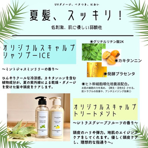 シャンプー トリートメント  詰め替え セット 500ml ＋ 500g　Snowdrop （ スノードロップ ）オーガニック スキャルプ アイスシャンプー ＆ トリートメント シャンプー トリートメ