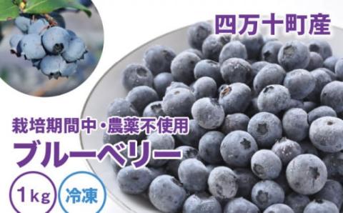 【2026年産／栽培期間中 農薬不使用ブルーベリー使用】手づくりブルーベリージャム（170g×5個）／Qdr-91 