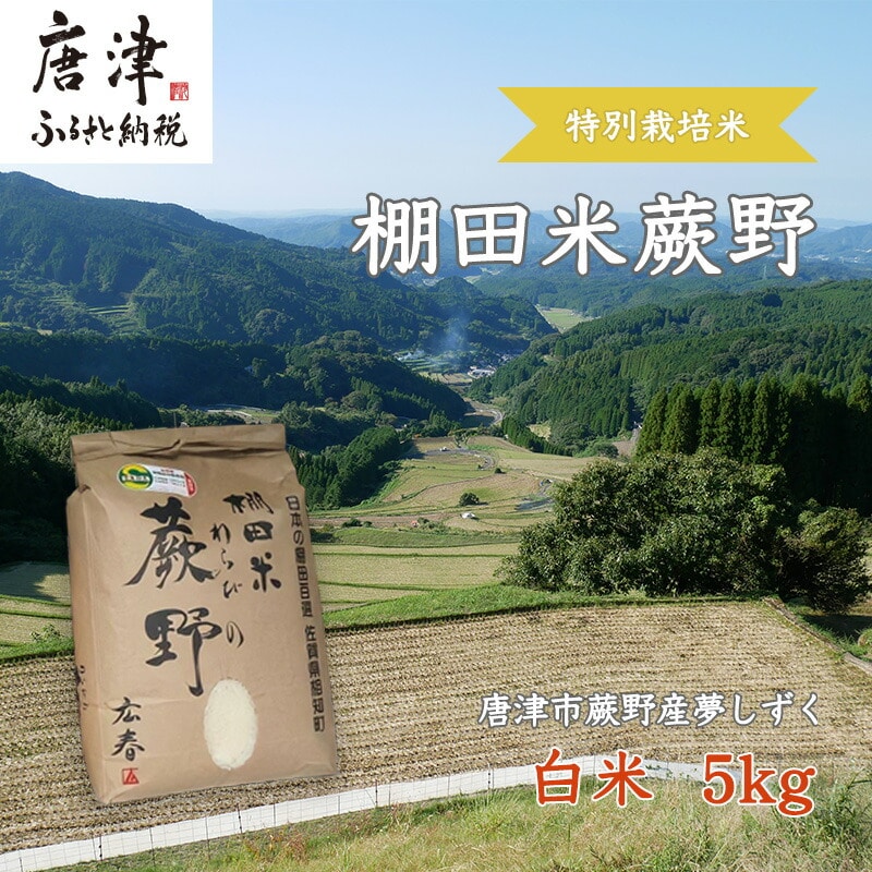 『先行予約』【令和8年産新米】特別栽培棚田米「蕨野」5kg×1袋(合計5kg) 家庭排水が一切入らない自然水で作られたお米 10日に1回精米で新米のような味わい