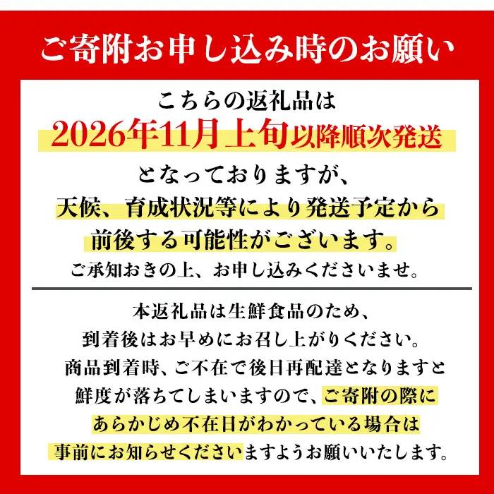 いずみ産 竹ん子山 の みかん 約5kg みかん 【イーサイドライン】 i1030