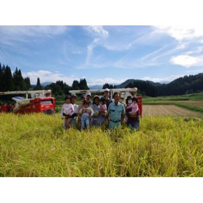 ふるさと納税 津南町 魚沼・津南産コシヒカリのパックごはん　苗場プリンセス米(12パック) |  | 03