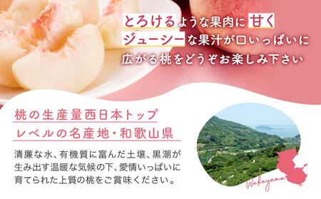 【産直・人気の特産品】和歌山の桃　約4kg・秀選品★2025年6月下旬～8月上旬頃順次発送★【TM168】