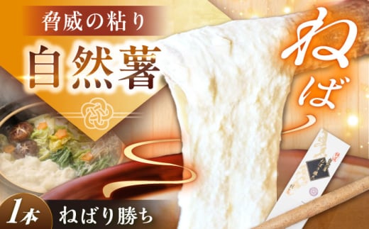 【伊勢神宮外宮奉納】 自然薯『ねばり勝ち』 1本入 / 自然薯 ねばり勝ち じねんじょ 山芋 とろろ 伊勢神宮外宮奉納品 産地直送食材 栄養豊富 美味しい 和食 ごはん とろろご飯 とろろ蕎麦 とろろうどん レシピ 高級食材 贈り物 お取り寄せ 贈答 ギフト 岐阜県 / 恵那市 / 水戸屋 [AUFZ007]