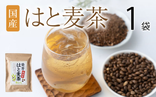 麦茶 はと麦茶 60包 ティーバッグ