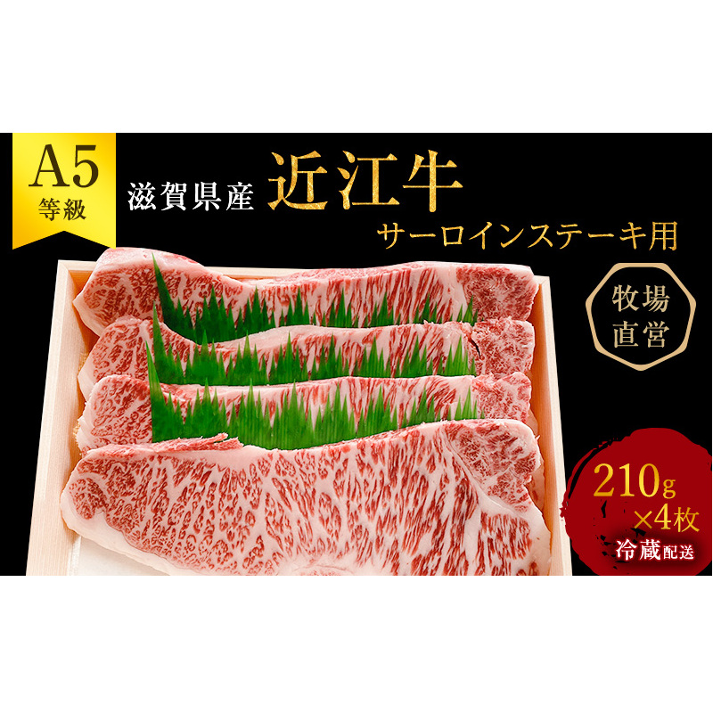 【最短1週間発送】 A5ランク 近江牛 肉 ステーキ 牛肉 雌牛 サーロインステーキ用 約210g×4枚 ふるさと納税 お肉 ブランド牛 黒毛和牛 滋賀県 豊郷町