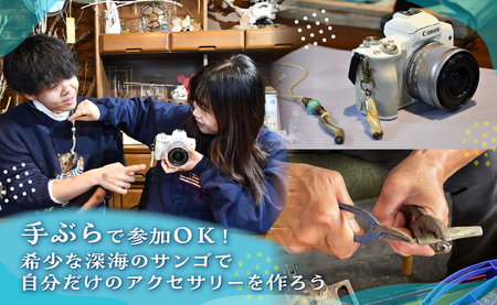 深海松を使ったアクセサリー作り体験 OKUX001