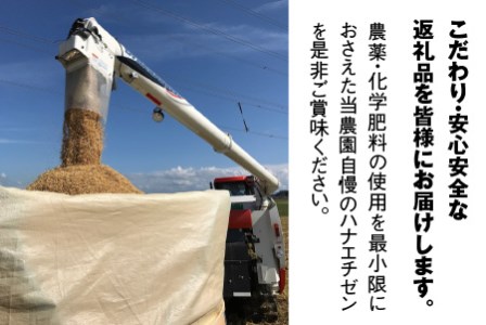 【先行予約】【令和8年産・新米】定期便 ≪3ヶ月連続お届け≫ ハナエチゼン5kg×3回 計15kg ～本原農園からまごころコメて～（玄米）【2026年9月上旬以降順次発送予定】 [C-8912]