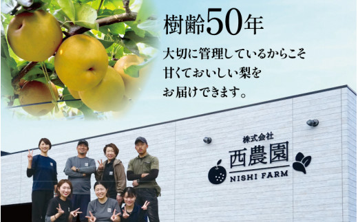 【豊水梨】3kg前後 (5~8個) もぎたて！たっぷり果汁の新鮮な梨をお届け！【梨 なし 和梨 フルーツ 甘い みずみずしい 果実 果物 新鮮 お土産 贈り物 旬の果物】 [A-15006]
