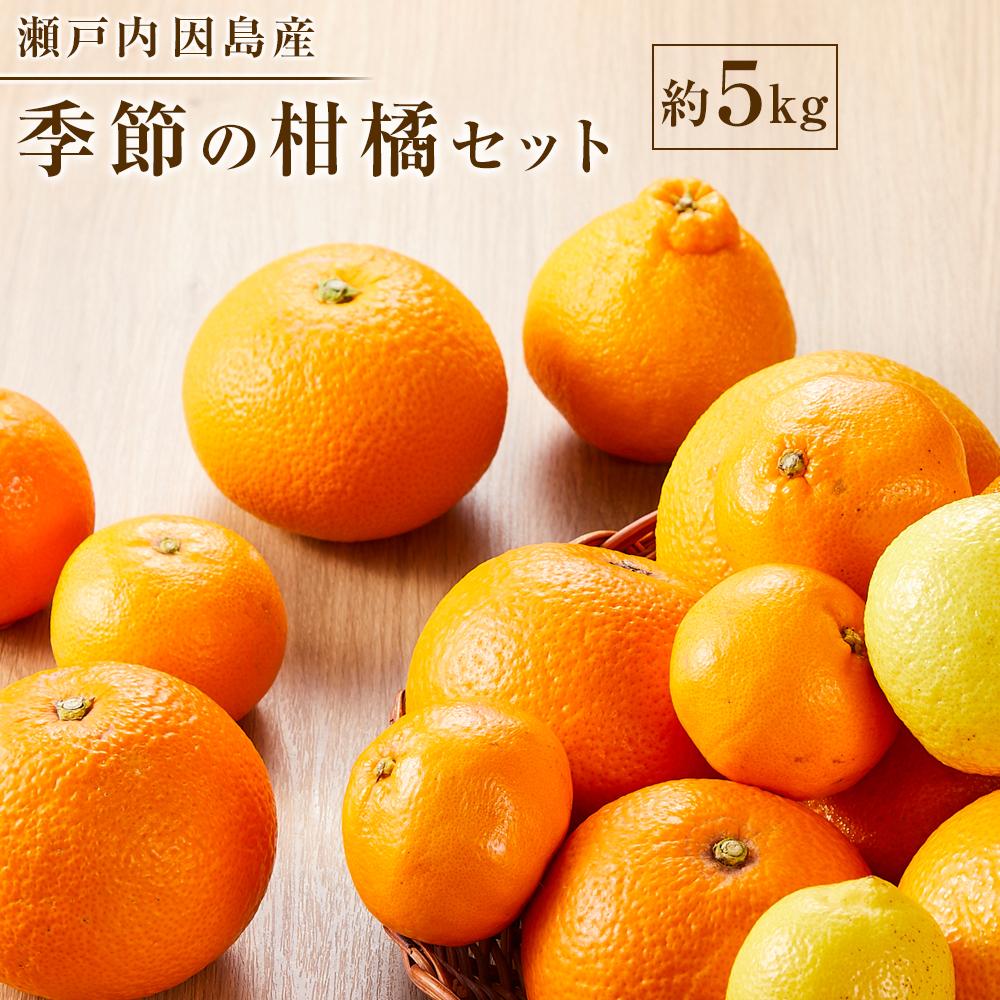 【ふるさと納税】季節の柑橘セット約5kg ＜2026年1月下旬から発送＞ | フルーツ 果物 くだもの 食品 人気 おすすめ 送料無料