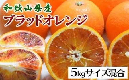【先行予約】【希少・高級柑橘】和歌山県産 ブラッドオレンジ タロッコ種 約5kg