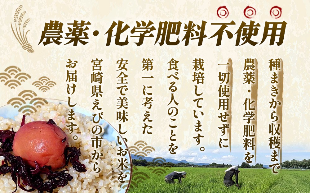 農家のこだわり玄米 真空パック