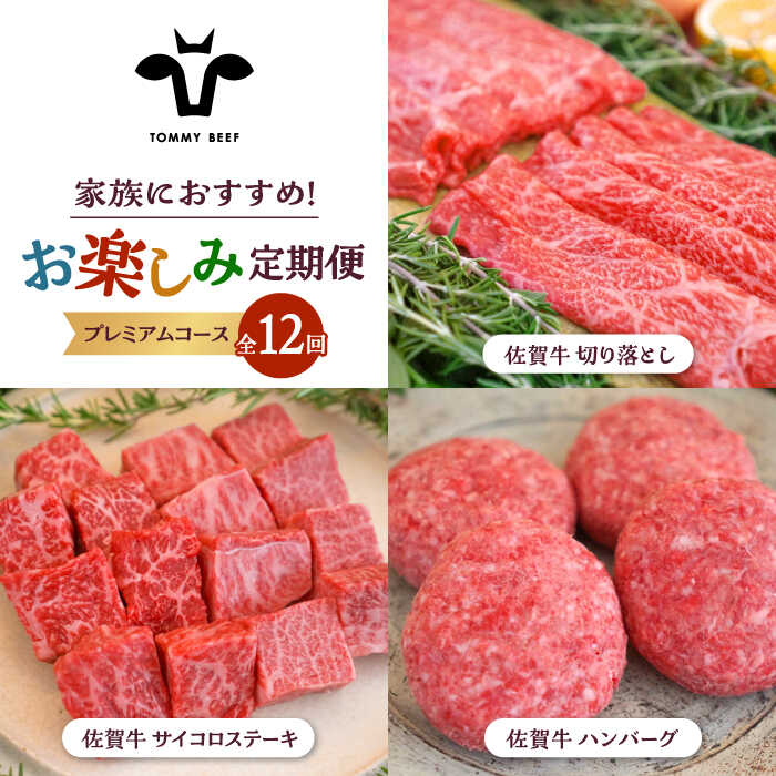 【ふるさと納税】【牧場直送】【12回定期便】佐賀牛 家族向け お楽しみ 定期便【佐賀セントラル牧場】黒毛和牛 A4 A5 詰め合わせ 牛肉 肉 お肉 セット 食べ比べ 和牛 佐賀県 白石町 [IAH220]