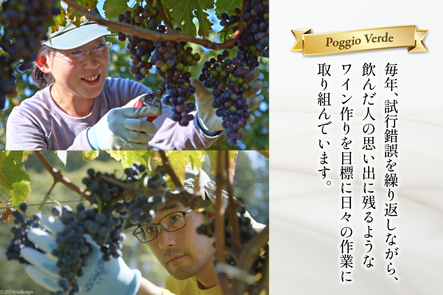 白 赤 ワイン 2本 セット ジョイア シャルドネ メルロー 各 750ml [Poggio Verde（ポッジョ ヴェルデ） 長野県 池田町 48110667] 白ワイン 赤ワイン わいん_イメージ