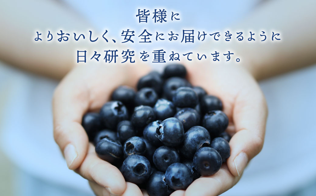 生ブルーベリー 計約400g（約100g×4パック）｜ ブルーベリー 果物 フルーツ 静岡県 菊川市