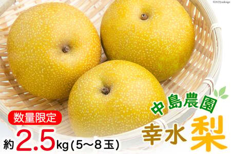 BH004【令和7年度出荷分】【数量限定】 幸水梨 約2.5kg（5玉～8玉）【新鮮 / 農家直送 / 夏の味覚 / 贅沢宝庫 / フルーツ】