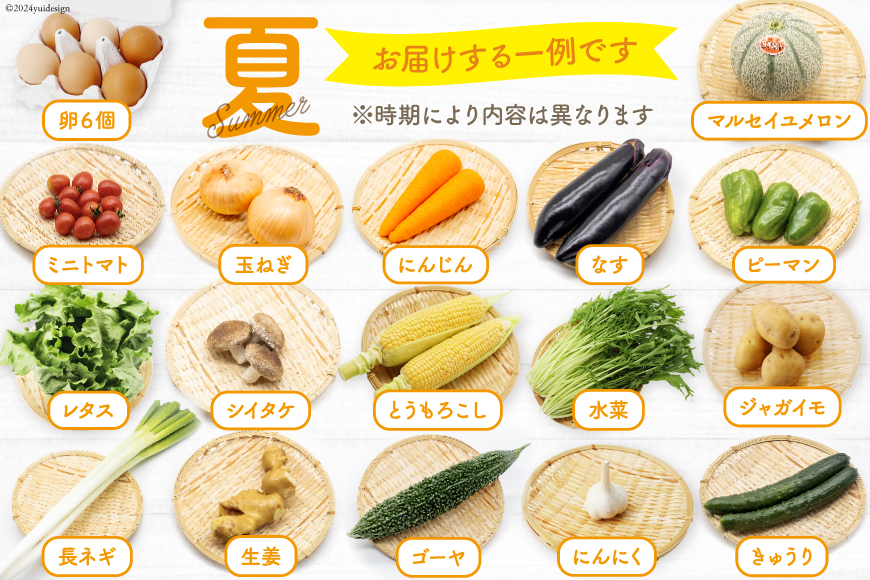 BD038 【12回定期便】 野菜・フルーツ・卵 旬のおまかせセット （野菜･フルーツ14～16種、卵6玉） 【 野菜セット 野菜 フルーツ 果物 たまご 鶏卵 産地直送 厳選 野菜生活】_イメージ3