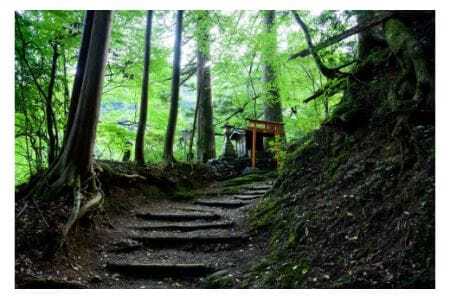 囲炉裏付き古民家「月夜見山荘」に泊まり、登山ガイドと霊峰・七面山に登ろう！（宿泊体験チケット2名様分）