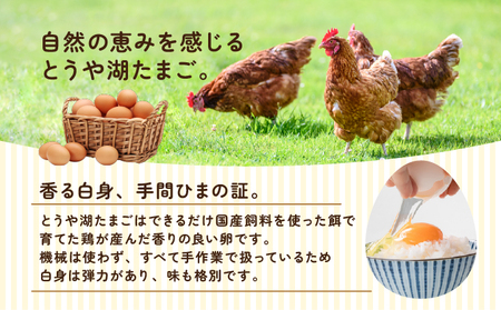 【6ヵ月 定期便】 北海道 伊達市 とうや湖 卵  20個 入り たまご