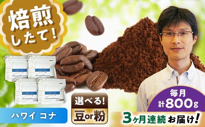 
            【全3回定期便】【選べる豆 or 粉】ハワイ・コナ コーヒー 200g×4個 / 珈琲 コーヒー / 瀬戸市 / Ｃｏｆｆｅｅ　ＳＡＫＵＲＡ [BBAB075]
          