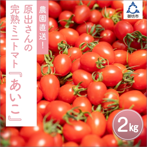 農園直送！原出さんの完熟ミニトマト（あいこ）