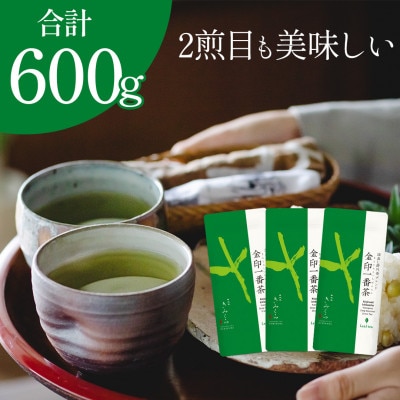 金印一番茶 3袋 合計600g　深蒸し掛川茶ブレンド 日本茶きみくら【5892】【配送不可地域：離島・沖縄県】