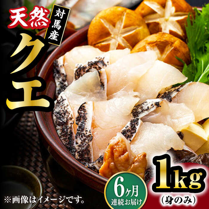 【ふるさと納税】【全6回定期便】【 対馬産 】 天然 クエ 1kg（500g×2）（身のみ）《対馬市》【石川水産】 鍋 水炊き 鮮度抜群 海鮮 クエ 天然クエ[WAB025]