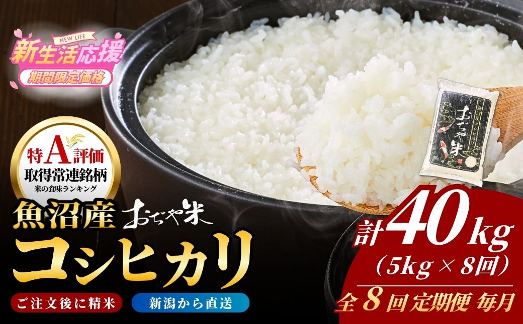令和7年産魚沼産コシヒカリ定期便 5kg×8回（毎月お届け）（8か月連続お届け）JA魚沼 白米 魚沼 米 定期便