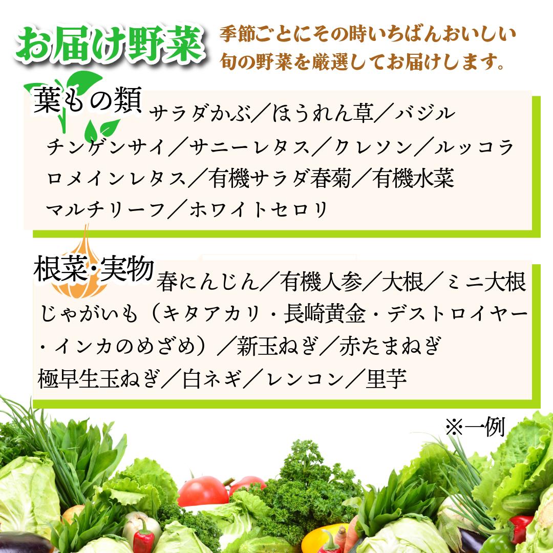 野菜 セット 9～10品 定期便 12回 季節 旬 野菜 詰め合せ 国産 季節 旬 おまかせ 産地直送 春野菜 夏野菜 秋野菜 葉物 果物 果菜 根菜 冷蔵 野菜室 ダイエット 食 栄養食 加工品 カ