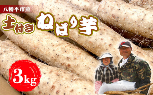 ＜12月発送開始予定＞  岩手県産 土付き ねばり芋 3kg 【松浦農園】 ／ 長いも 長芋 ながいも ねばり芋 ねばりいも 山芋 やまいも 山いも やま芋 農家直送 産地直送 とろろ とろろご飯 ご飯のおとも ご飯のお供 やまかけ 山かけ 旬 新鮮 野菜 八幡平市産