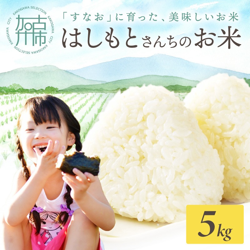 【令和7年産 2025年11月より順次発送】はしもとさんちのお米(5kg)《 お米 米 ヒノヒカリ 精米 お米5kg お米5キロ ごはん ご飯 》【2501B14301】