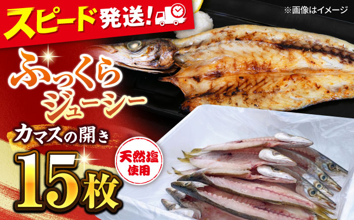 漁師町佐島 カマスの開き 15枚セット 干物 横須賀 【石川水産】 [AKCX002]