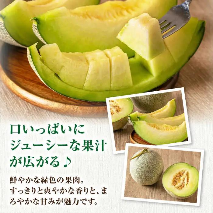 【先行予約】青肉メロン 2玉  [AJAH022] メロン