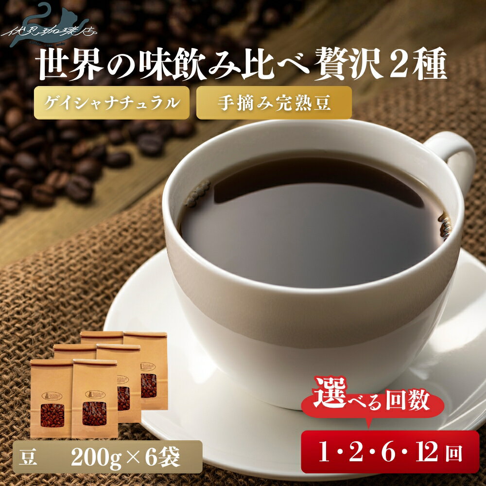 【ふるさと納税】【希少ゲイシャ×手摘み完熟豆】世界の味を飲み比べる贅沢2種セットゲイシャ ナチュラル グリーンランド農園（200g×3袋）手摘み完熟豆（200g×3袋）選べる お届け回数 1回 2回 6回 12回