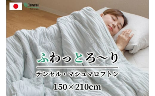 とろけるような心地よさ オールシーズン マシュマロフトン グレー K01TMN7SLG シングル 150cm×200cm [3004]