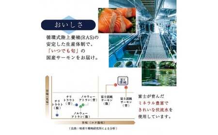 富士頂純サーモン 刺し身セット 半身分2分割 450g以上 富士山麓のきれいな天然水で養殖された安心安全なサーモン 完全無投薬・ワクチンフリー・アニサキスフリー・サステナブルな養殖サーモン フィレ 切