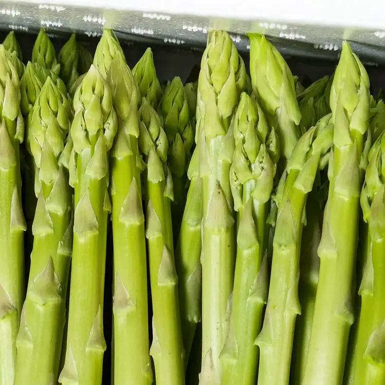 うえの農園のアスパラキャンディ 30g×1袋 | 飴 あめ キャンディー 国産 栃木県産 アスパラ アスパラガス 食品
